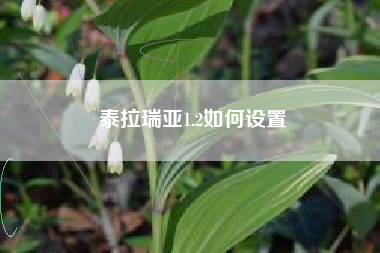 泰拉瑞亚1.2如何设置
