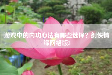 游戏中的内功心法有哪些选择？剑侠情缘网络版3
