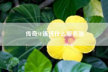 传奇SF该选什么服务器