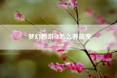 梦幻西游SF怎么养萌宠