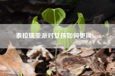 泰拉瑞亚派对女孩如何更换bgm