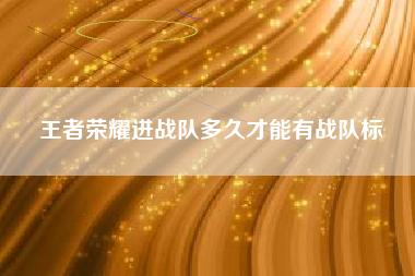 王者荣耀进战队多久才能有战队标