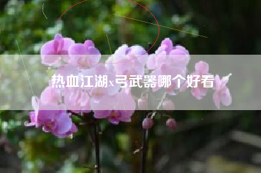 热血江湖x弓武器哪个好看