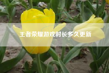 王者荣耀游戏时长多久更新