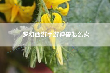 梦幻西游手游神兽怎么卖