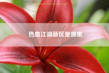 热血江湖新区是哪里