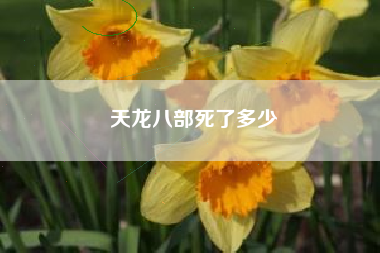 天龙八部死了多少