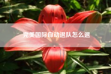 完美国际自动退队怎么退