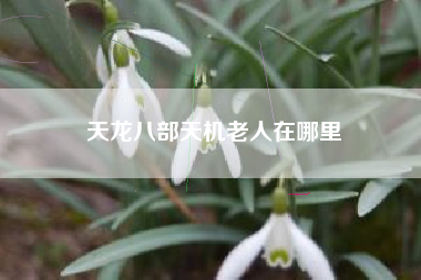 天龙八部天机老人在哪里