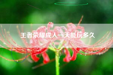 王者荣耀成人一天能玩多久