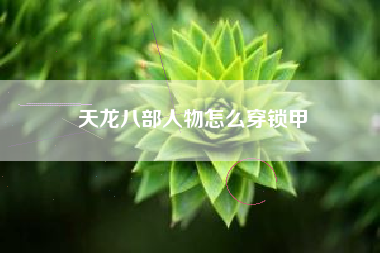 天龙八部人物怎么穿锁甲