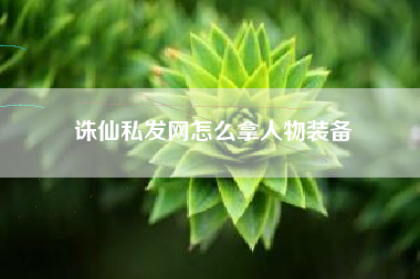 诛仙私发网怎么拿人物装备