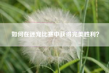 如何在迷宠比赛中获得完美胜利？