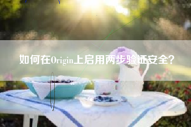 如何在Origin上启用两步验证安全？