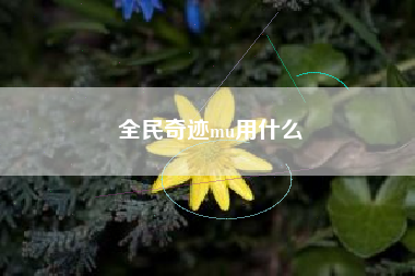 全民奇迹mu用什么