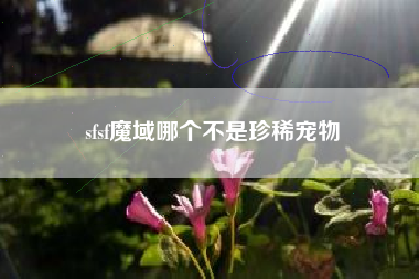 sfsf魔域哪个不是珍稀宠物