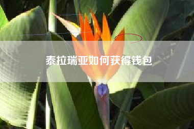 泰拉瑞亚如何获得钱包