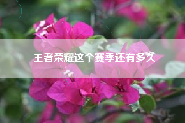 王者荣耀这个赛季还有多久