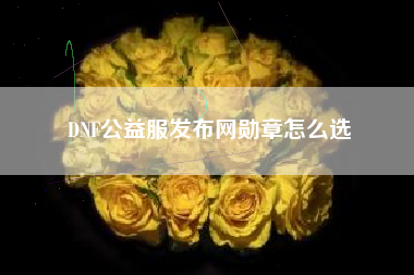 DNF公益服发布网勋章怎么选