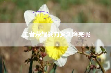 王者荣耀战力多久降完呢