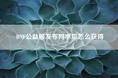 DNF公益服发布网木瓜怎么获得