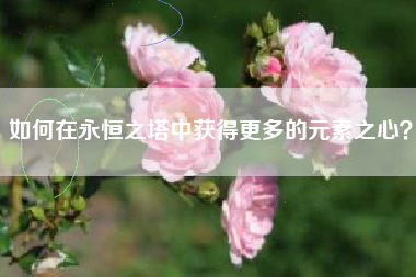 如何在永恒之塔中获得更多的元素之心？
