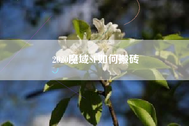 2020魔域SF如何搬砖