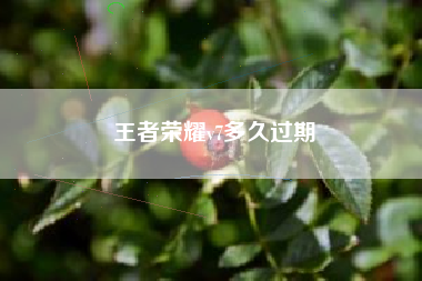 王者荣耀v7多久过期