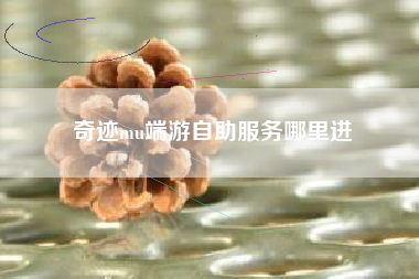 奇迹mu端游自助服务哪里进