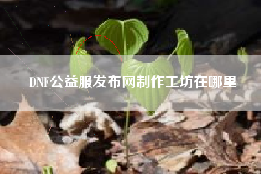 DNF公益服发布网制作工坊在哪里