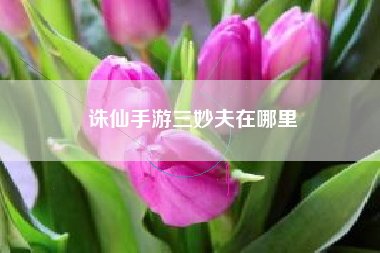 诛仙手游三妙夫在哪里