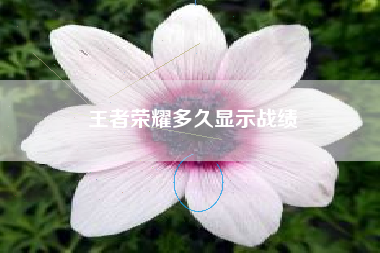 王者荣耀多久显示战绩