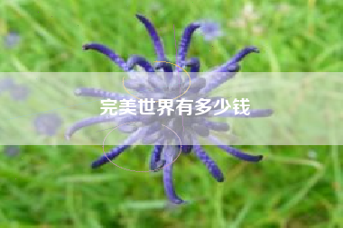 完美世界有多少钱