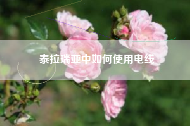 泰拉瑞亚中如何使用电线