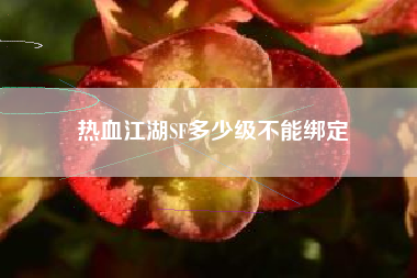 热血江湖SF多少级不能绑定