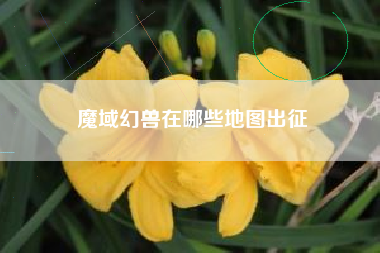 魔域幻兽在哪些地图出征