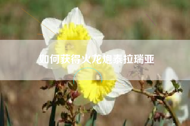 如何获得火龙炮泰拉瑞亚