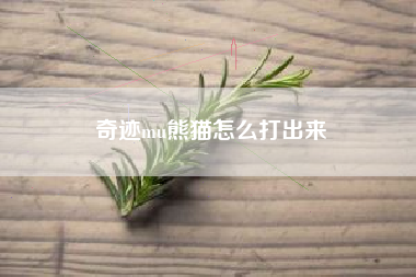 奇迹mu熊猫怎么打出来