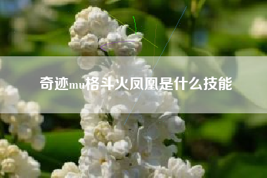 奇迹mu格斗火凤凰是什么技能