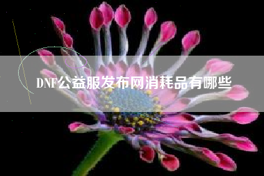 DNF公益服发布网消耗品有哪些