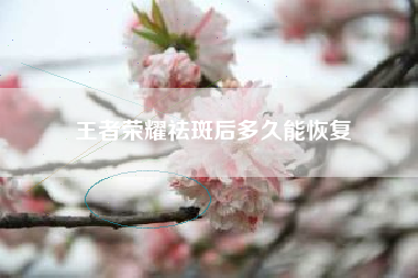 王者荣耀祛斑后多久能恢复