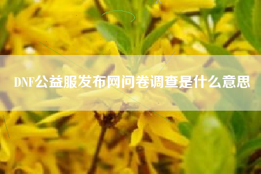DNF公益服发布网问卷调查是什么意思