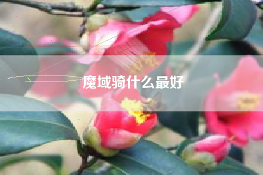 魔域骑什么最好