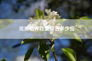 完美世界姓孟排名多少位