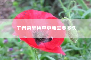 王者荣耀检查更新需要多久