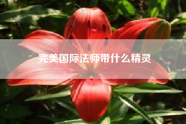 完美国际法师带什么精灵