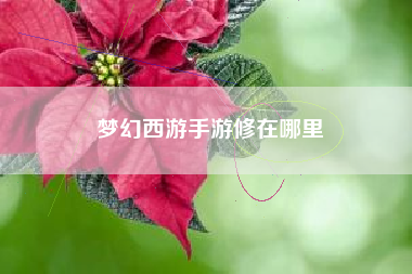 梦幻西游手游修在哪里