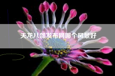天龙八部发布网哪个风景好