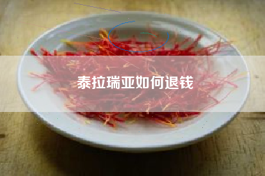 泰拉瑞亚如何退钱