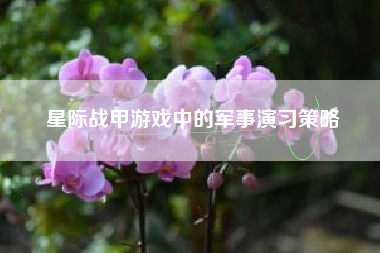星际战甲游戏中的军事演习策略